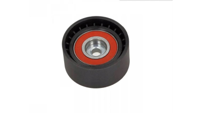 Rola ghidare curea transmisie DEXWAL 31408