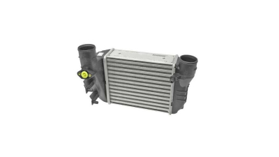 Intercooler Seat Exeo, 12.2008-05.2010, motor 1.8 TSI 110kw, benzina, cutie manuala, cu/fara AC, aluminiu brazat/plastic, 215x193x65 mm, J.Deus, 