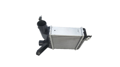 Intercooler Bmw Seria 5 E39 1995-2003, Seria 7 E38 1994-2001, 202x62x192mm, SRLine 2016J8-1