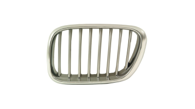 Grila radiator Bmw X5 (E53), 01.1999-05.2003 stanga, titan, 51137124815, 205005-3