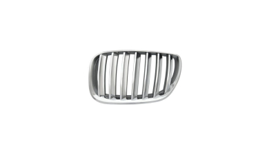 Grila radiator Bmw X5 (E53), 01.1999-05.2003, stanga, crom, 205005-5