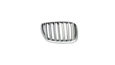 Grila radiator Bmw X5 (E53), 01.1999-05.2003, dreapta, crom, 205005-6