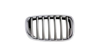 Grila radiator Bmw X5 (E70), 10.2006-04.2010, X6 (E71), 01.08-12.13 stanga, titan, 51137185223, 205105-1