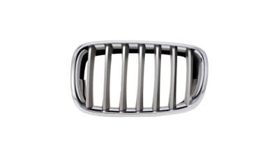 Grila radiator Bmw X5 (E70), 10.2006-04.2010, X6 (E71), 01.08-12.13 dreapta, titan, 51137185224, 205105-2