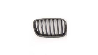 Grila radiator Bmw X5 (E70), 10.2006-04.2010, stanga, negru, 205105-7