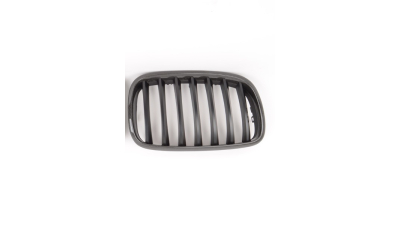 Grila radiator Bmw X5 (E70), 10.2006-04.2010, dreapta, negru, 205105-8