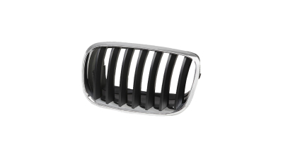 Grila fata Bmw X5 ( E70 ), 10.2006-04.2010, parte montare partea stanga, cromat, 205105-9, Aftermarket