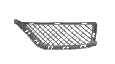 Grila bara Bmw X1 (E84) Model 2013-08.2015, Fata partea Dreapta, Fara pachet M, 51117303758