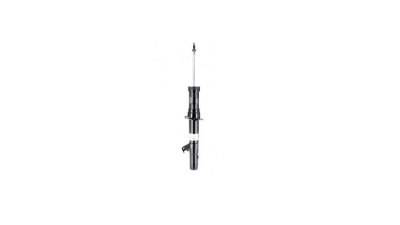 Amzortizor gaz MAGNETI MARELLI 2535GR
