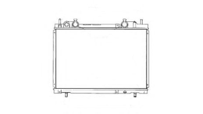 Radiator racire DEUS 3018086X