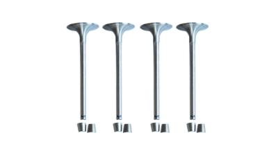 Set supape admisie Dacia Logan Sandero 1.4/ 1.6 7701465088 Asam , supapa admisie - 4 buc