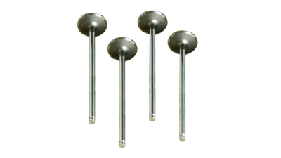 Set supape evacuare Dacia Logan Sandero 1.4/ 1.6 6001543503 Asam