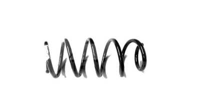 Arc spate Dacia Duster 4x2 (l=325mm; d=13.00mm) 550201283R Asam