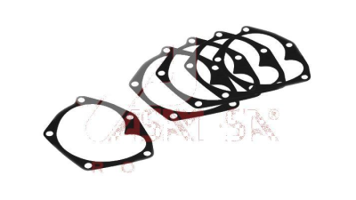 Garnitura pompa apa Dacia Logan Sandero 1.5 ( 10bc/ set ) parte din 7701478031 Asam