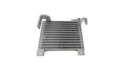 Radiator racire ulei motor, termoflot Hyundai H-20100, 11.2006-, motor 2.5 TD, 74 kw, diesel, 256x190x40 mm, din aluminiu brazat