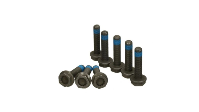 Set surub volanta Luk 411011811