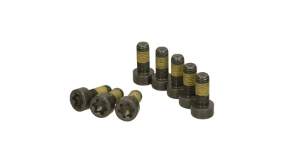 Set surub volanta Luk 411012010