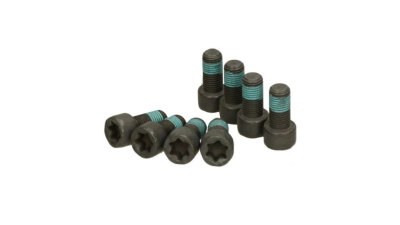 Set surub volanta Luk 411012110