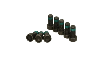 Set surub volanta Luk 411013311