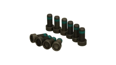 Set surub volanta Luk 411013312