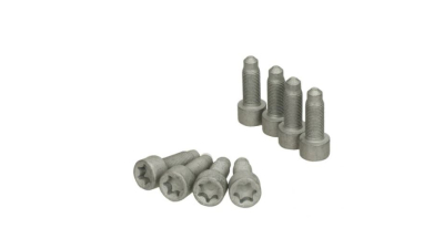 Set surub volanta Luk 411016010