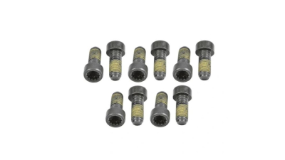 Set surub volanta Luk 411016110
