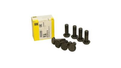 Set surub volanta Luk 411017310
