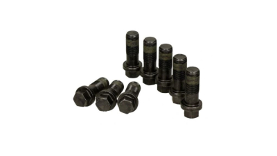 Set surub volanta Luk 411019610