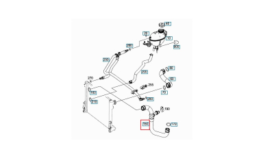 Furtun radiator Mercedes C-Class (W204) 2007-2014, cauciuc, BestAutoVest 5070PW-4