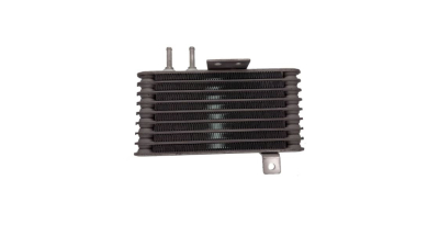 Radiator ulei motor, Termoflot Citroen C-Crosser 2007-; Mitsubishi Asx 2010-, Lancer 2008-, Outlander 2007-2012; Peugeot 4007 2007-2012, 190x120x32mm, BestAutoVest 5234L8-2