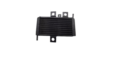 Radiator ulei cutie, Termoflot Mitsubishi L200 2005-, 250x160x32mm, BestAutoVest 5279L8-1