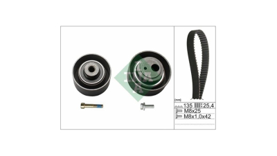 Kit distributie Ina 530005510