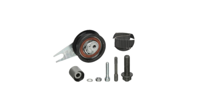 Kit distributie Ina 530005710
