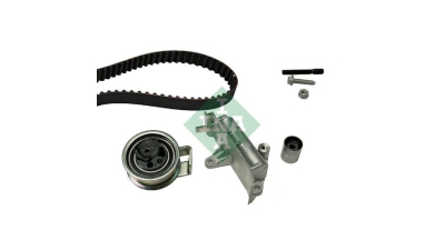 Kit distributie Ina 530009010