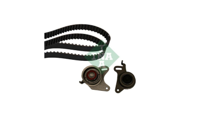 Kit distributie Ina 530010910