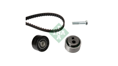 Kit distributie Ina 530011910