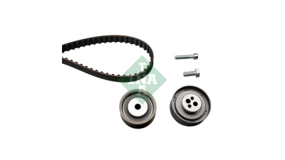 Kit distributie Ina 530016110