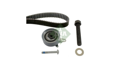Kit distributie Ina 530017210