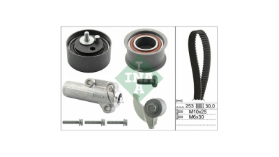 Kit distributie Ina 530017910