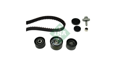 Kit distributie Ina 530019210