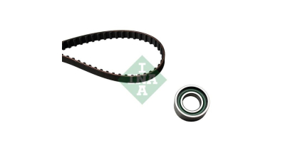 Kit distributie Ina 530020310