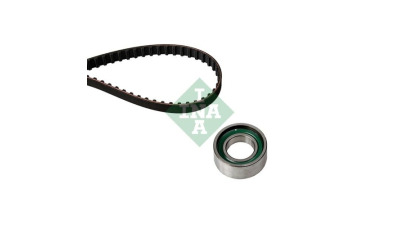 Kit distributie Ina 530020510