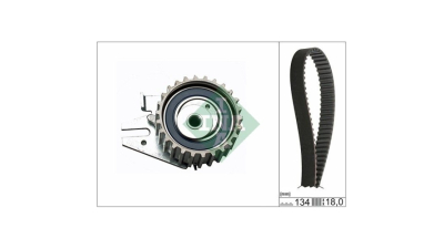 Kit distributie Ina 530022110