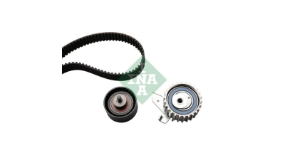Kit distributie INA 530022510