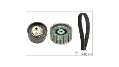 Kit distributie Ina 530023210