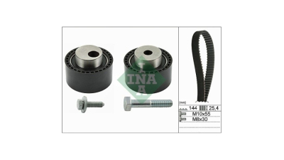 Kit distributie Ina 530023510