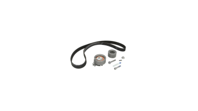 Kit distributie Ina 530023710