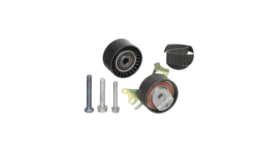 Kit distributie Ina 530023810