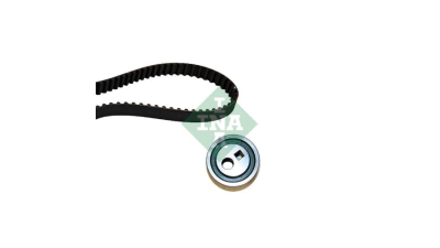 Kit distributie Ina 530025210