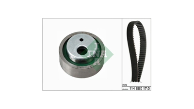 Kit distributie Ina 530025810